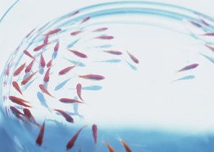 未来科技选购建议：户外运动智能装备推荐